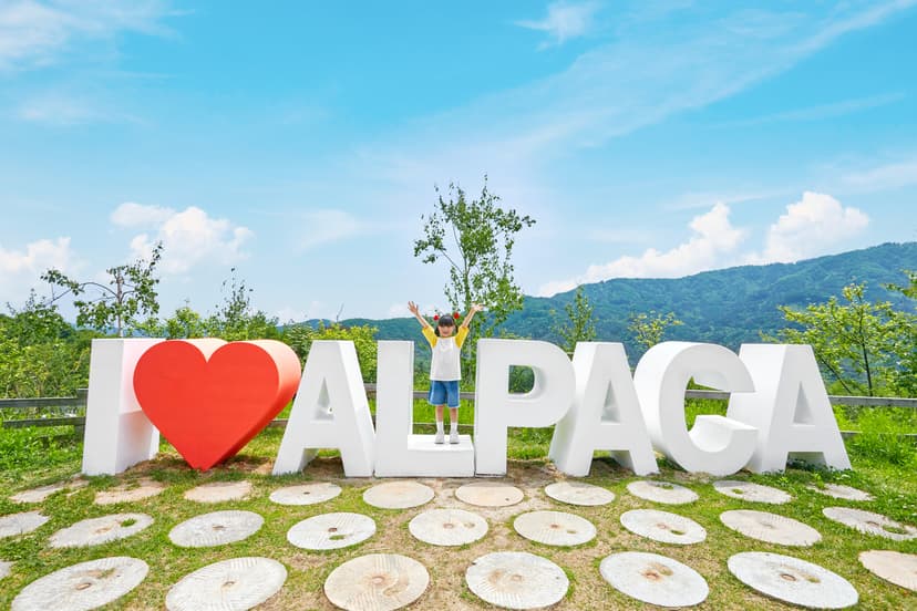 Alpaca World & Gyeonggi Family Day Trips