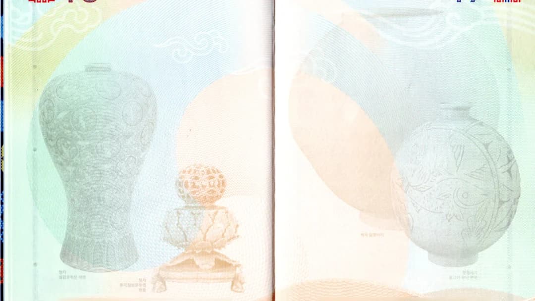 Blank visa pages of a passport printed with pale drawings of celadon vases