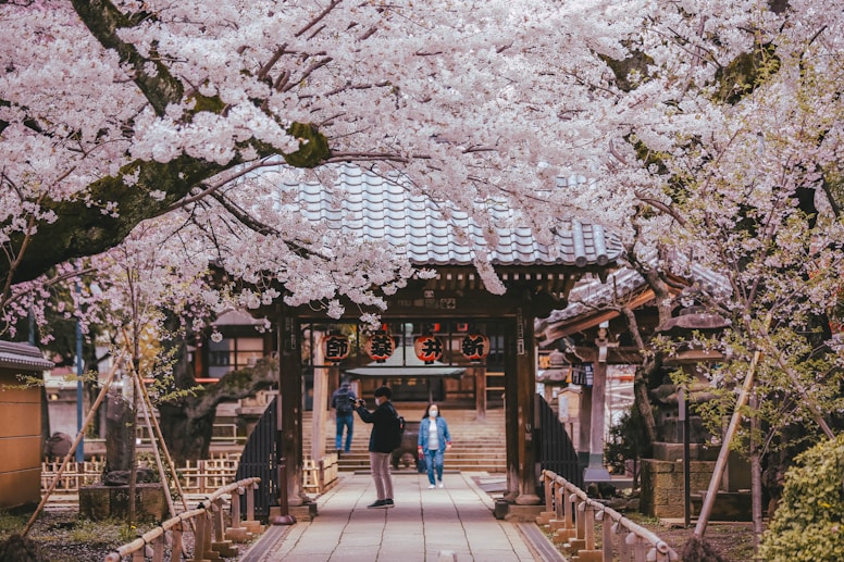  Tokyo & Kyoto Explorer