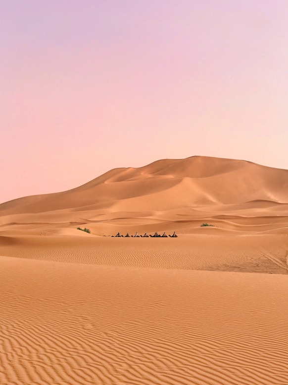  Morocco Desert & Medina